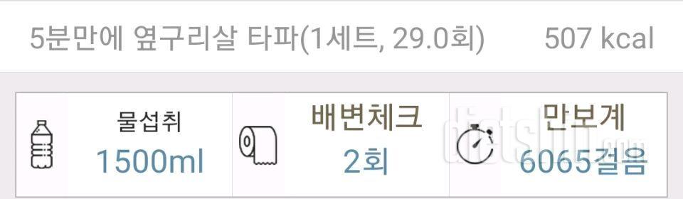 11/22일 하루식단과 저녁운동