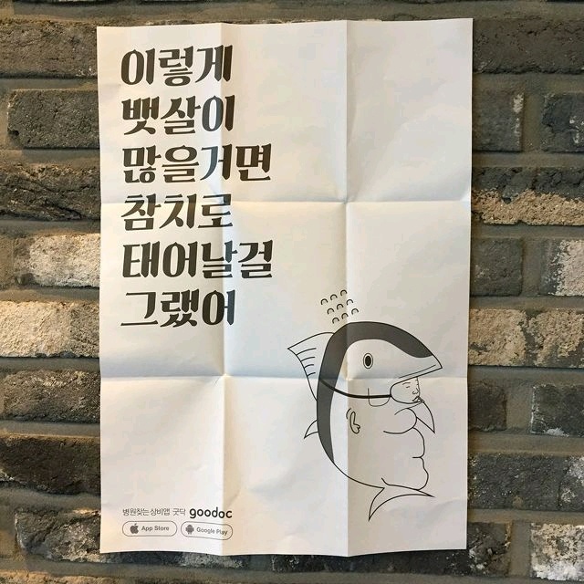 다이터트 자극짤방 모음