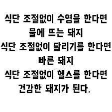 다이터트 자극짤방 모음