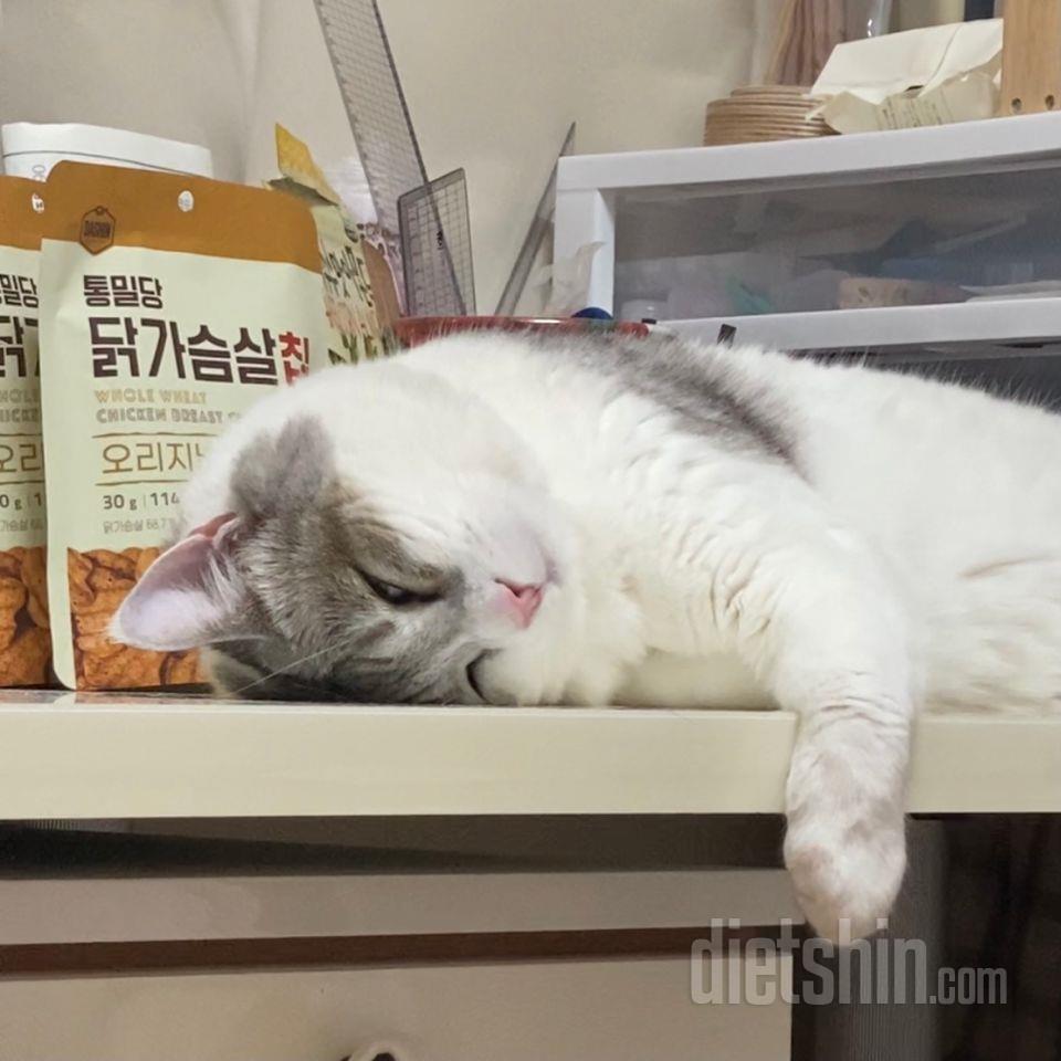 꾸이칩 생각하고 첫 입 먹었을때는 엥