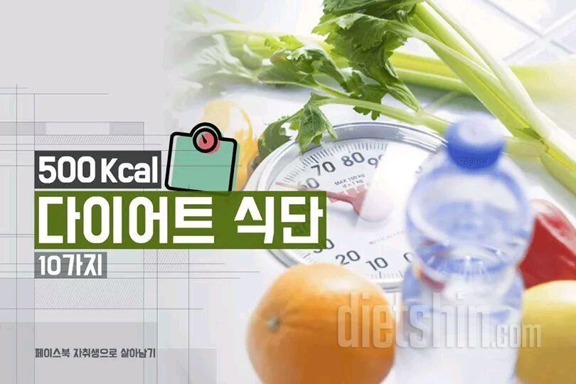 500Kcal 다이어트 식단 10가지