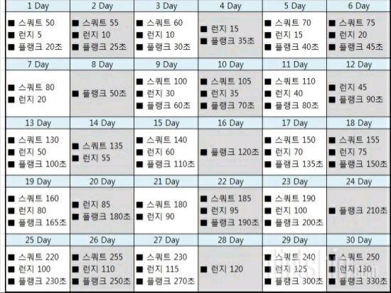 다양한 스쿼트, 런지, 플랭크 프로그램