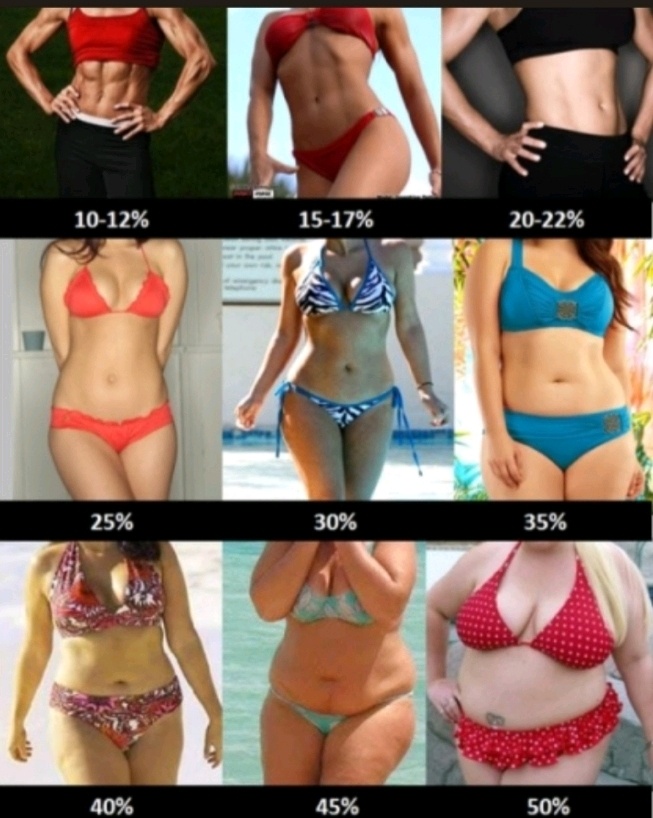 체지방율에 따른 몸 차이 - 여자