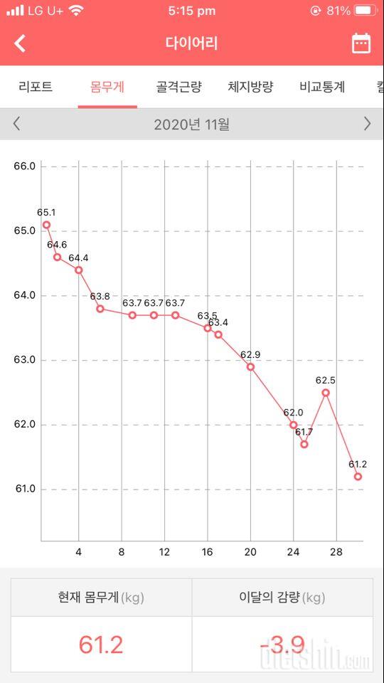 11월 체중기록