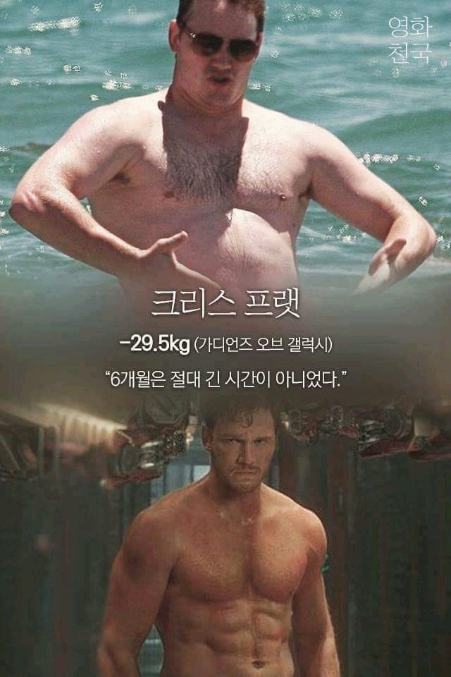 헐리우드 배우들의 다이어트 한줄평