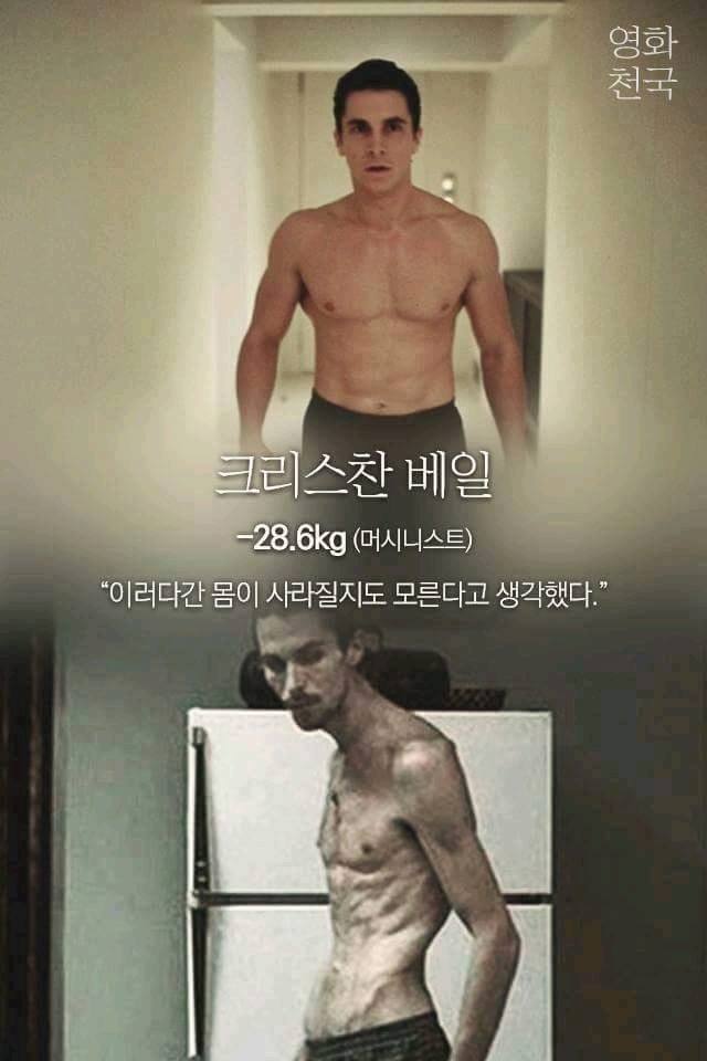 헐리우드 배우들의 다이어트 한줄평