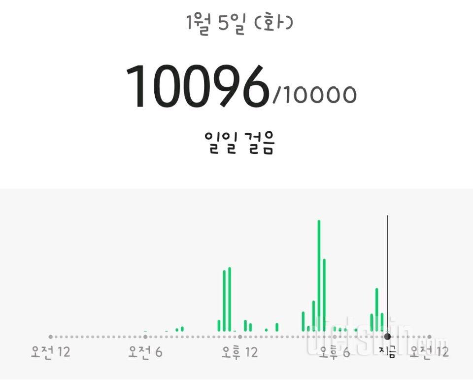 30일 만보 걷기 11일차 성공!