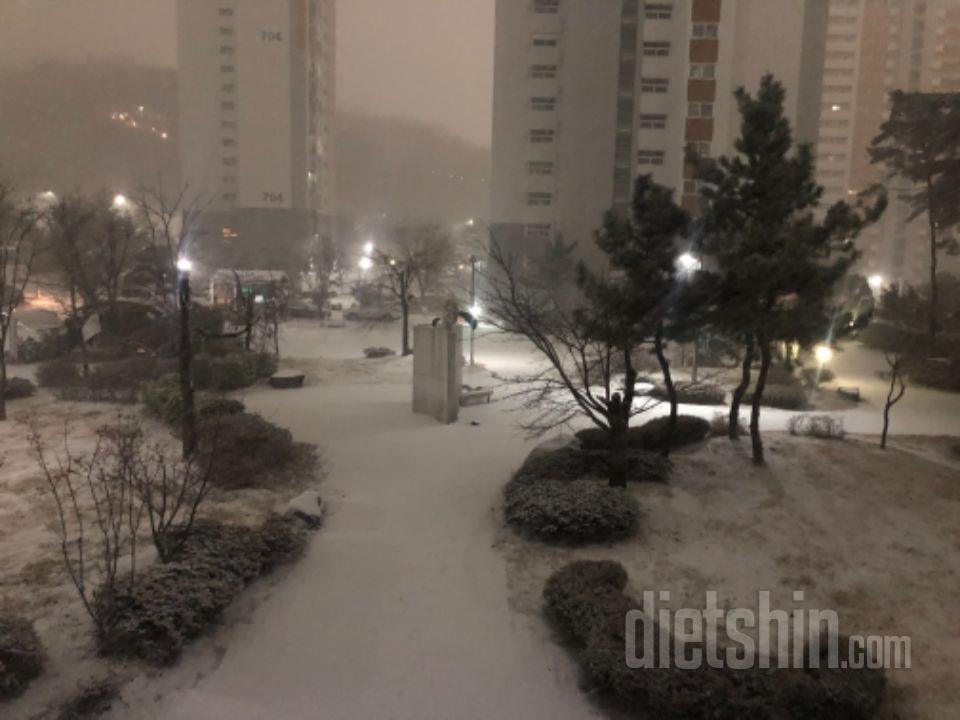 장이여 건강해져라 아직 먹기전