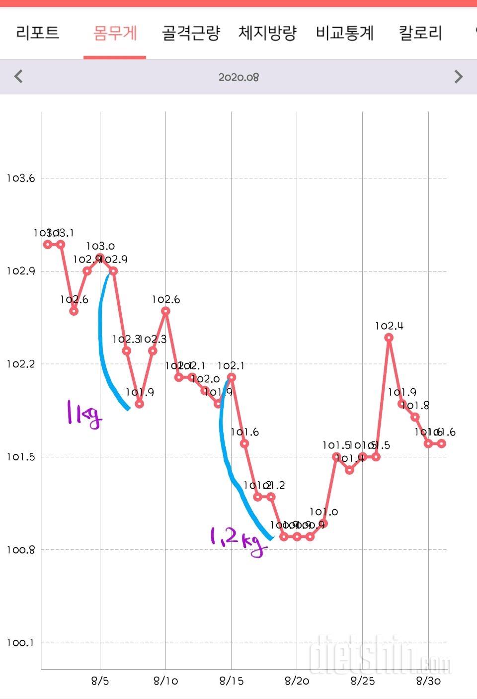 간헐적단식으로 감량하신분  있을까요