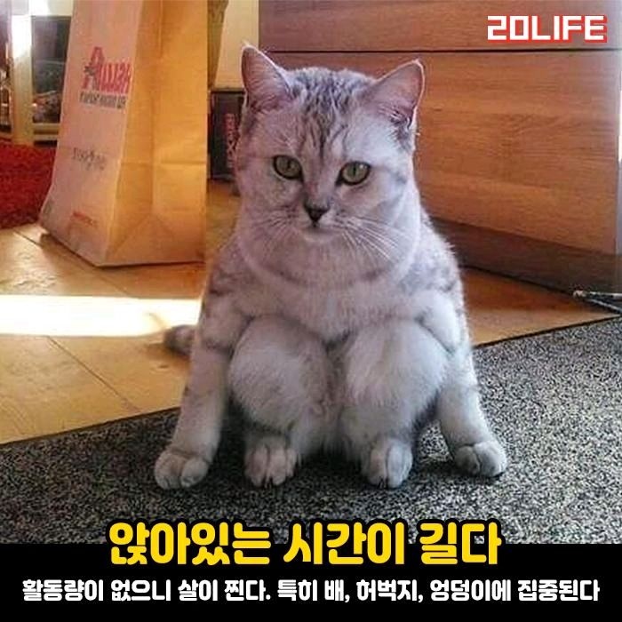 나도 모르게 살찌는 습관