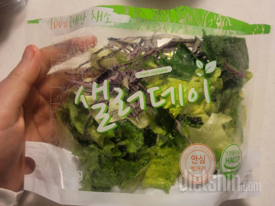 샐러드 양도 괜찮고 정말 신선해요!!