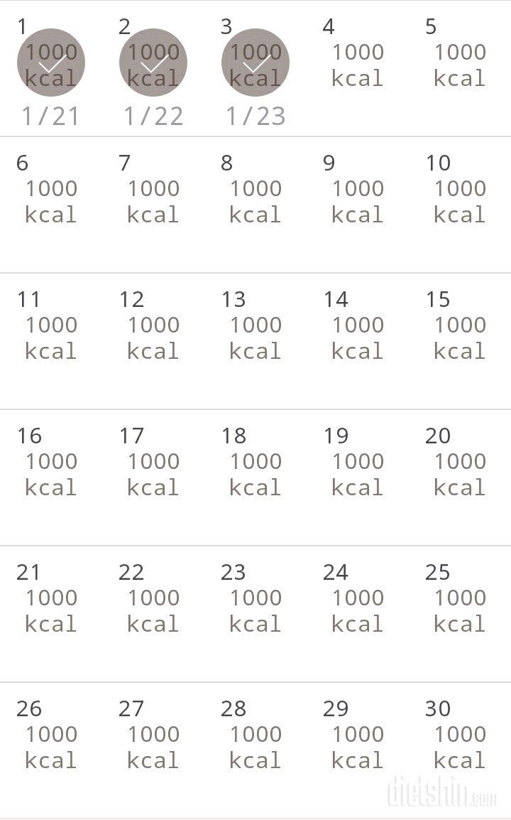 30일 1,000kcal 식단 33일차 성공!