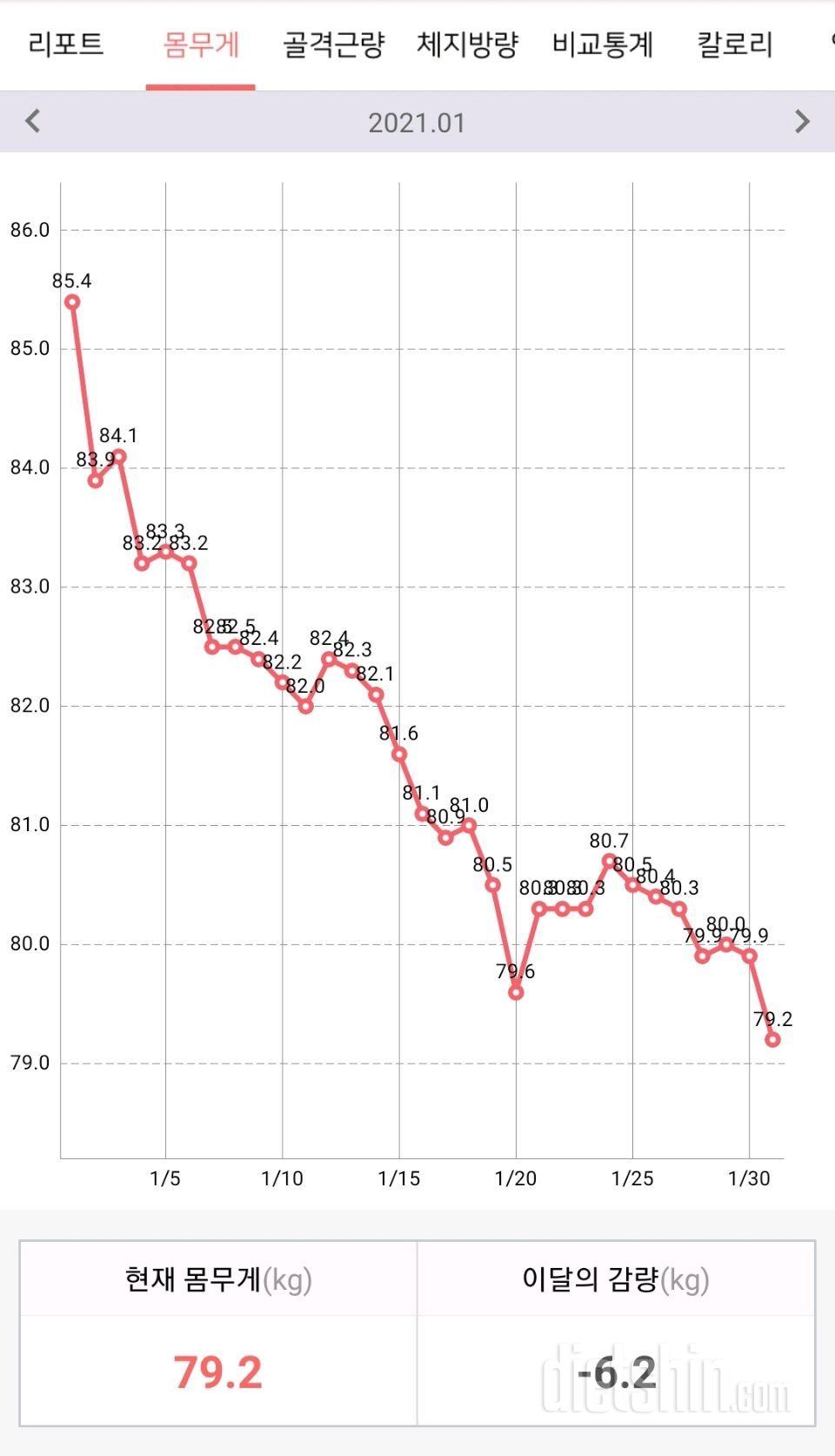 2021년 1월 다이어트 후기 (몸무게 -6.2kg / 체지방 -4.9kg )