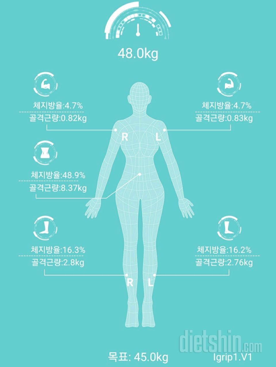 11일차