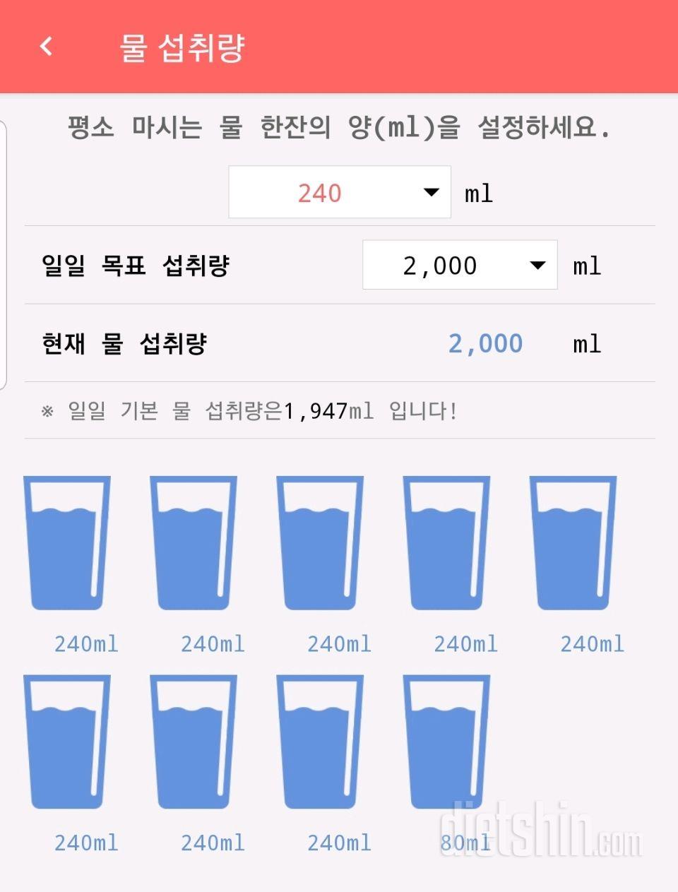 30일 하루 2L 물마시기 33일차 성공!