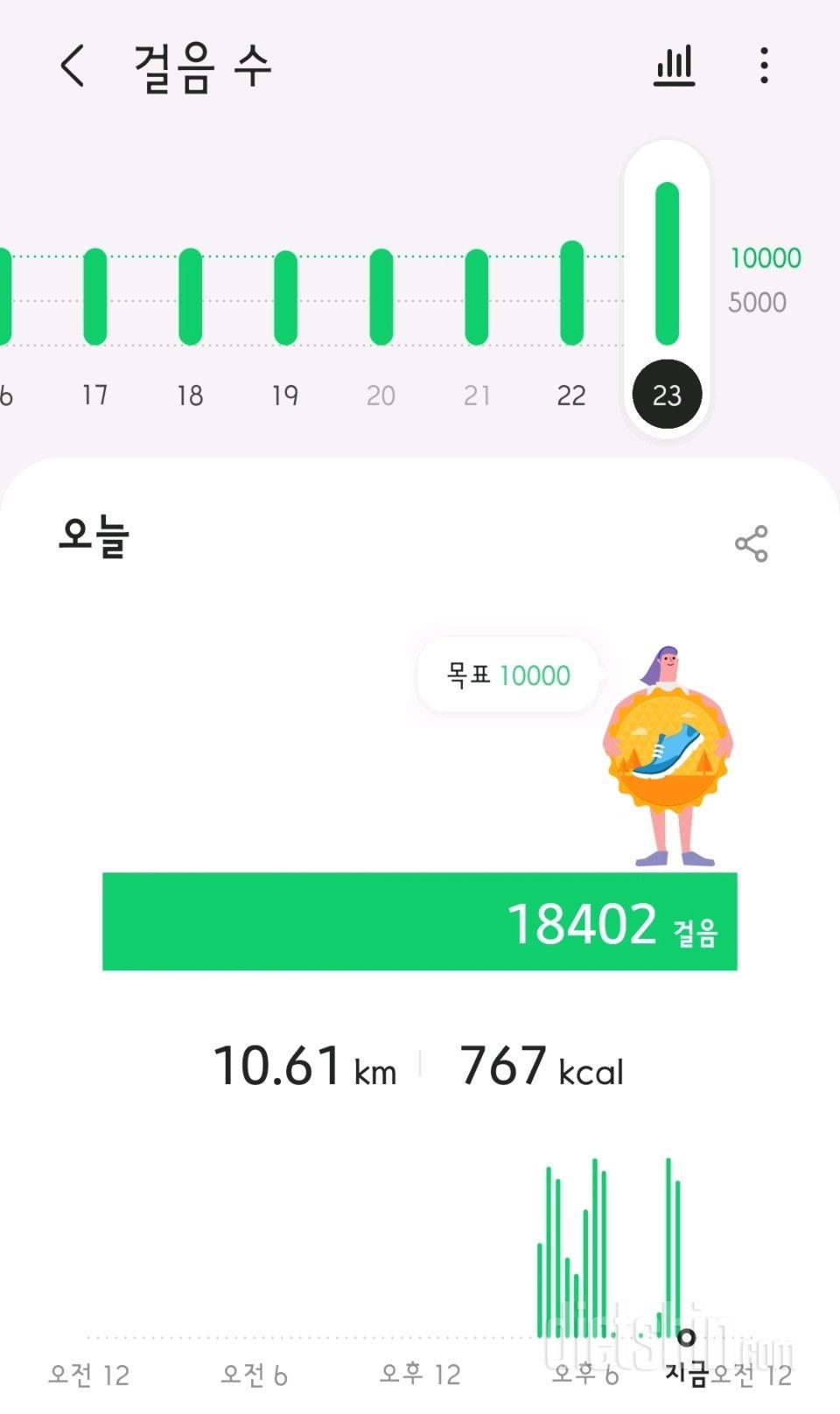 30일 만보 걷기 13일차 성공!