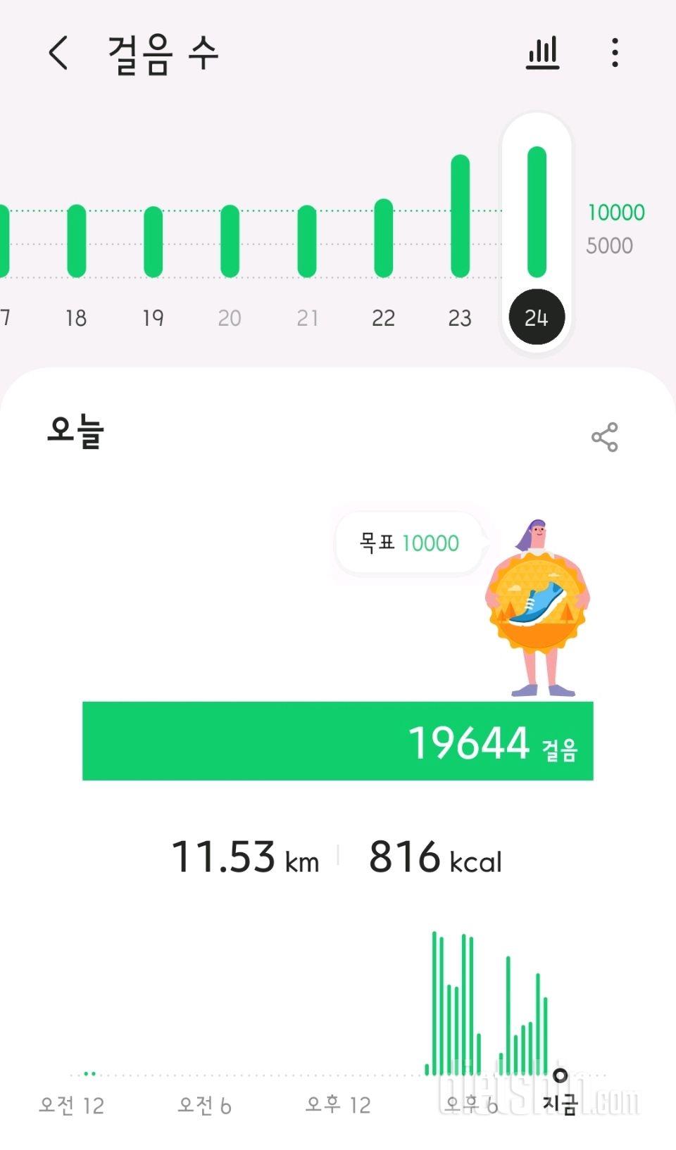 30일 만보 걷기 14일차 성공!