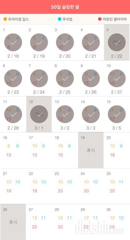 30일 슬림한 팔 15일차 성공!