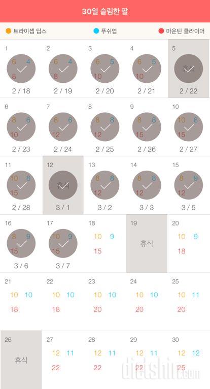 30일 슬림한 팔 17일차 성공!