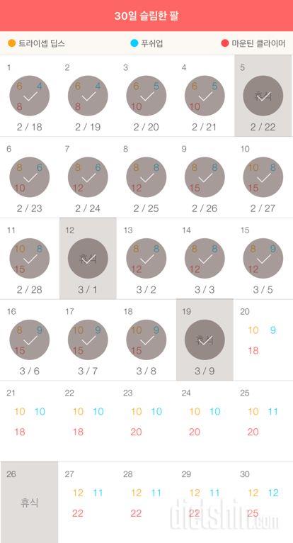 30일 슬림한 팔 19일차 성공!