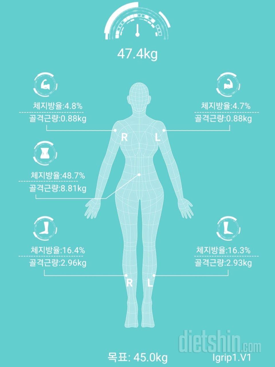 11일차