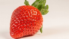 과일은 식후보단 단독으로 섭취해야 좋다?