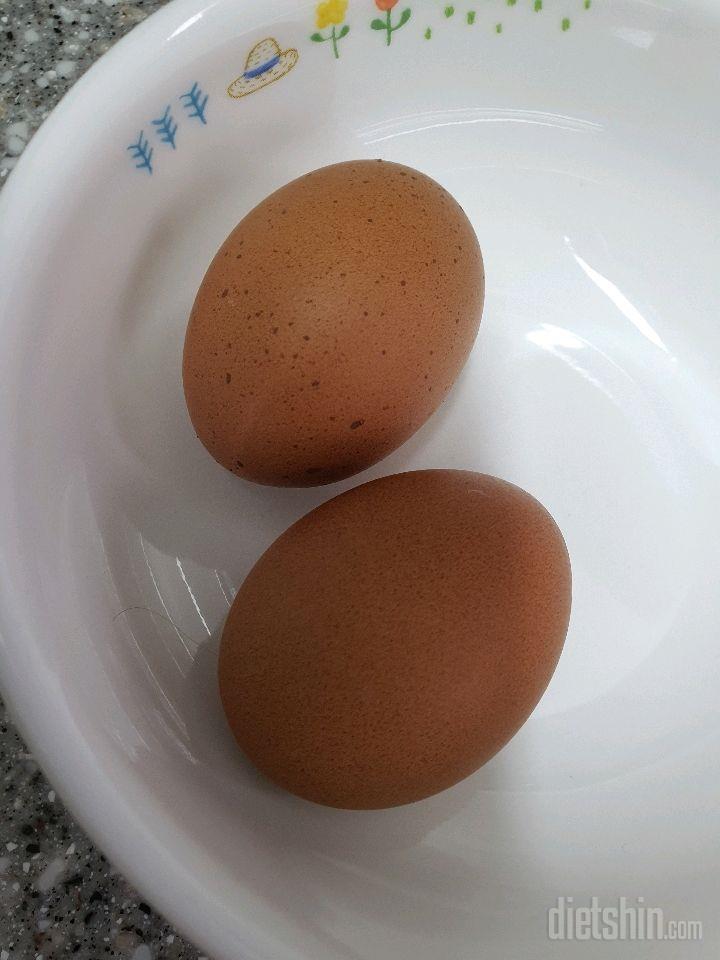 시작은 계란🥚