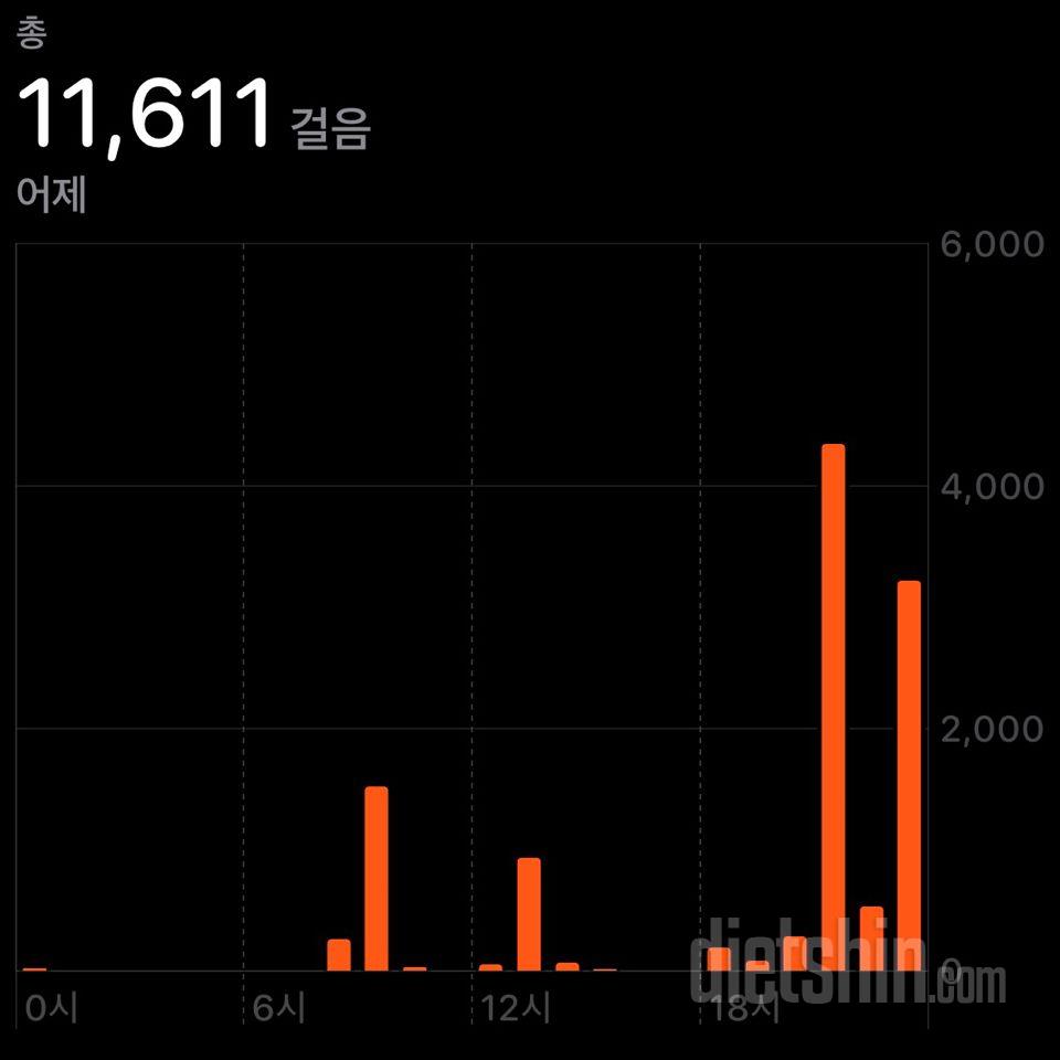 30일 만보 걷기 2일차 성공!