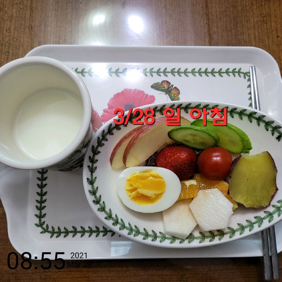 03월 28일( 아침식사 26kcal)