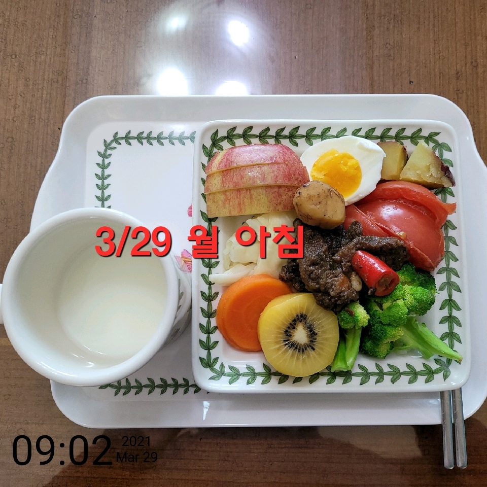 03월 29일( 아침식사 34kcal)