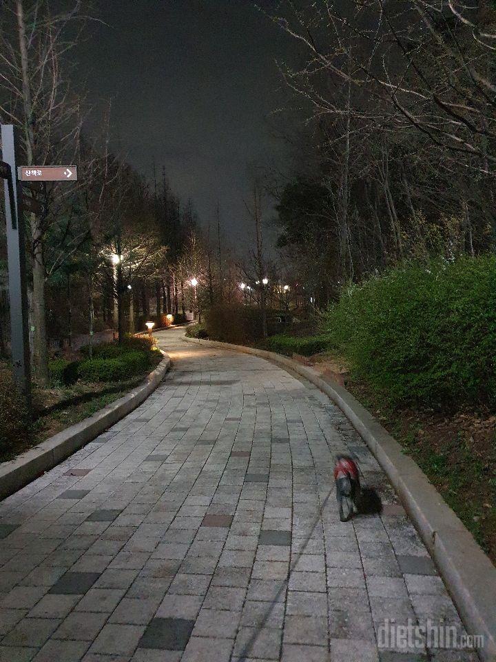 저녁 산책♡