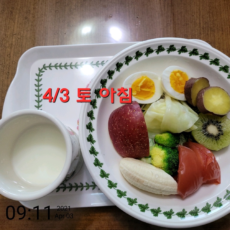 04월 03일( 아침식사 28kcal)