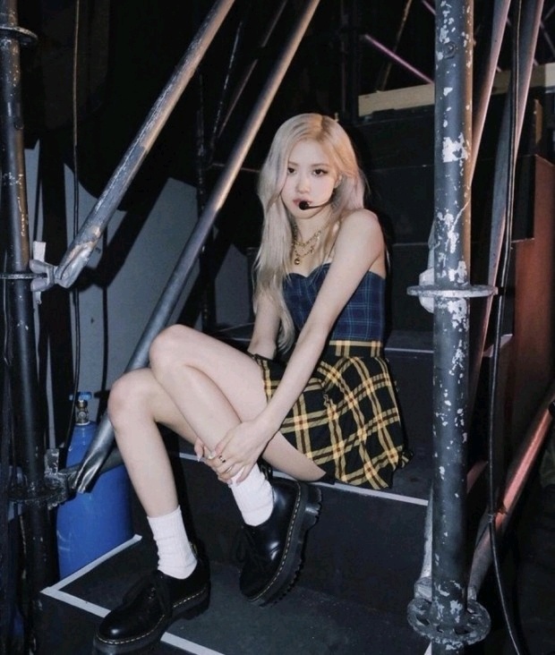 로제 자극사진