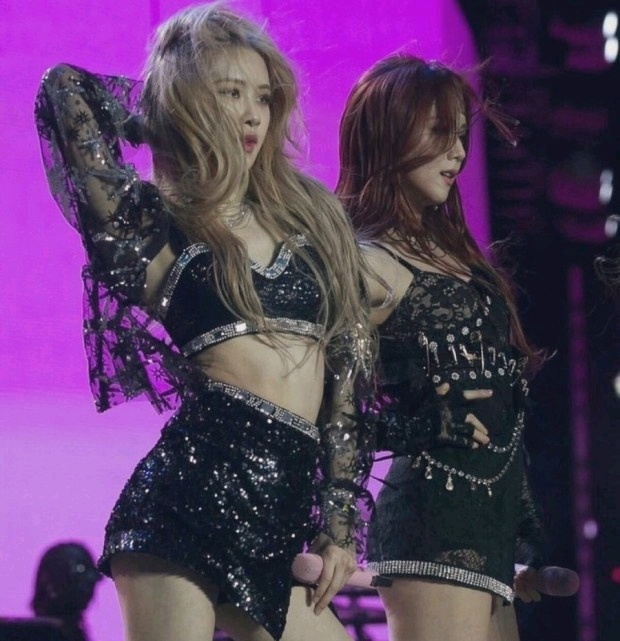 로제 자극사진