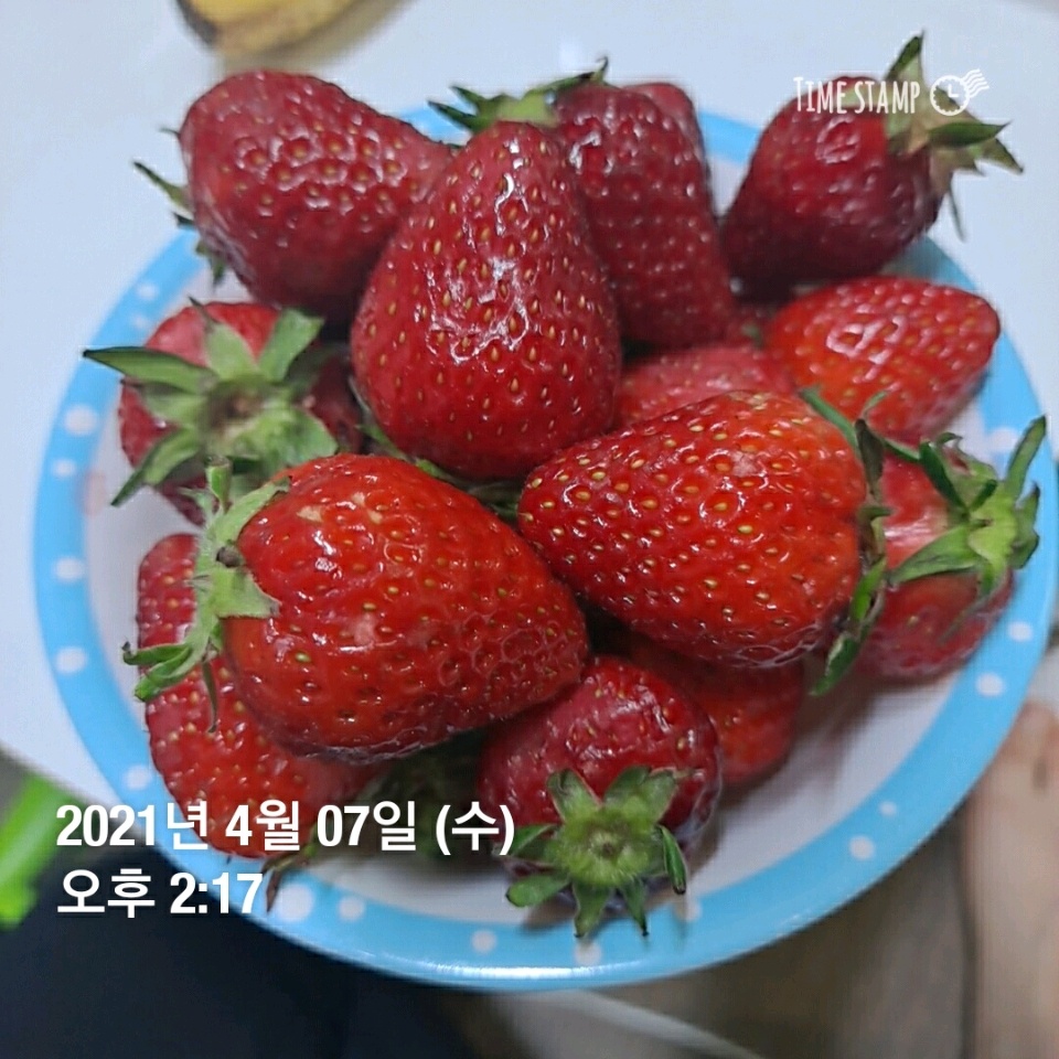 03월 17일( 점심식사 513kcal)