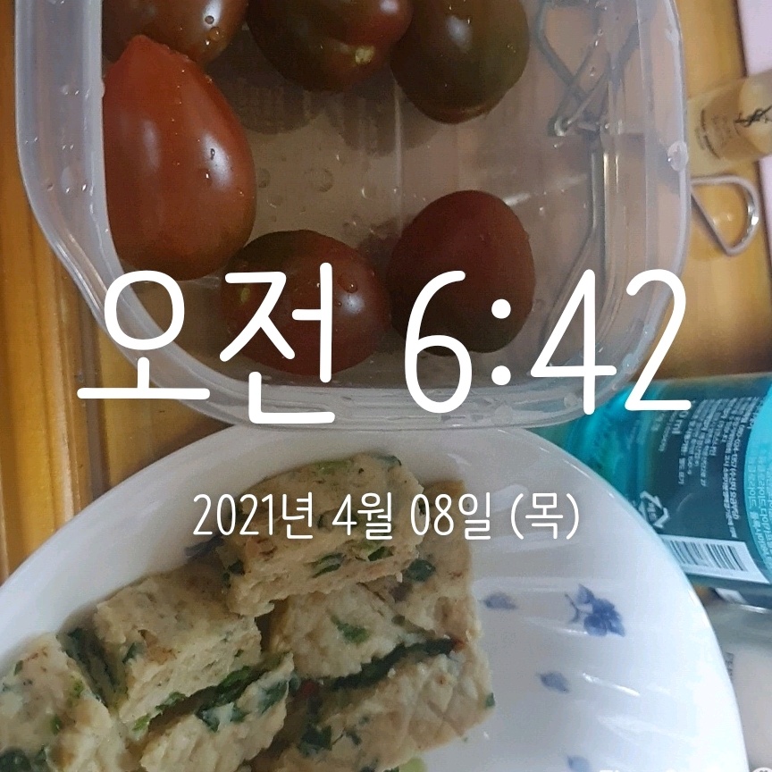 04월 08일( 오전간식 8kcal)