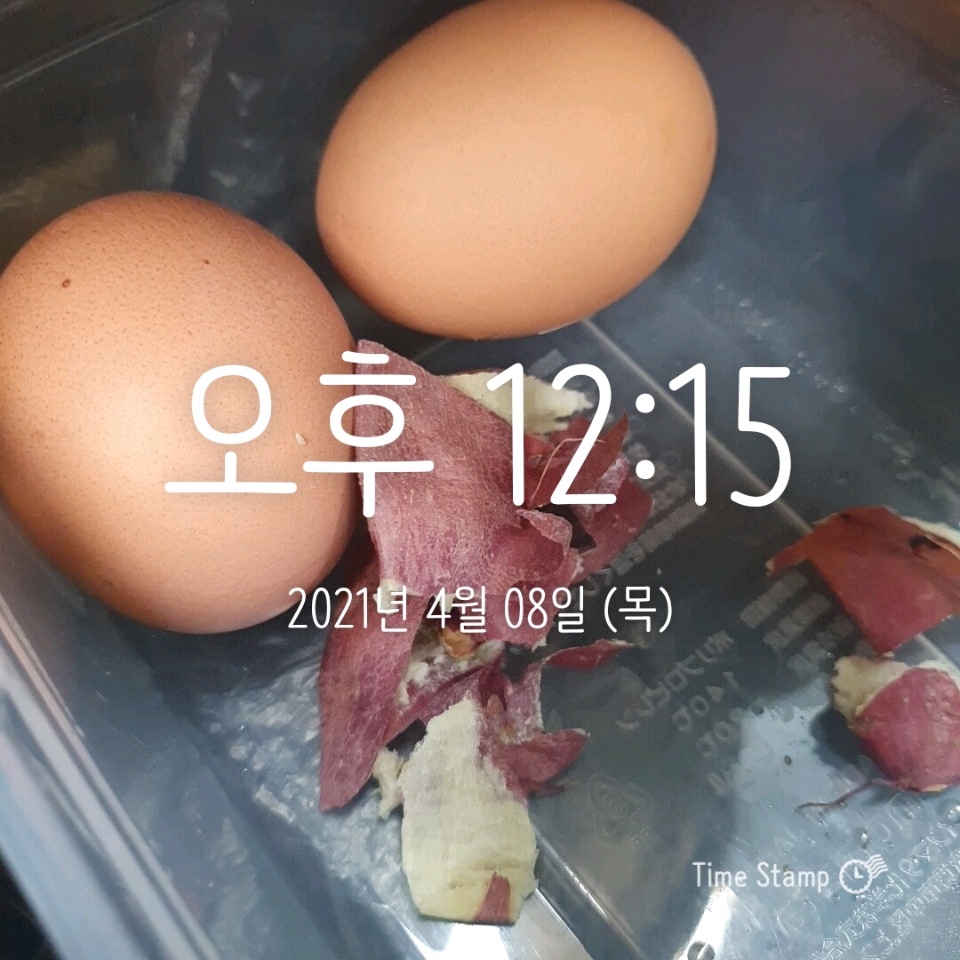 04월 08일( 점심식사 198kcal)