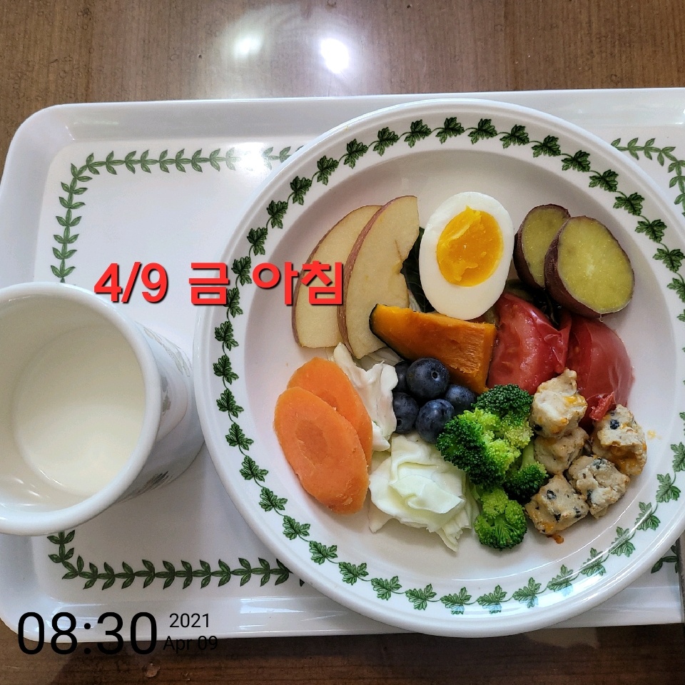 04월 09일( 아침식사 225kcal)