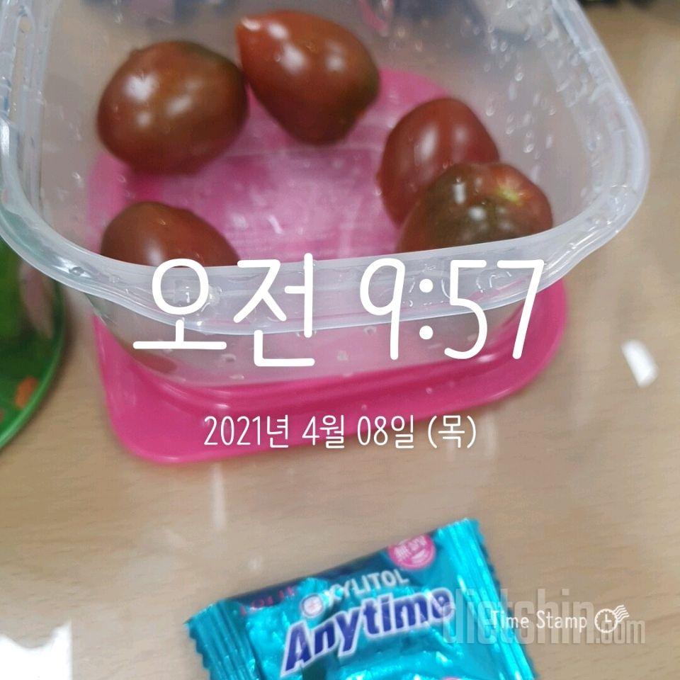 04월 08일( 오전간식 8kcal)