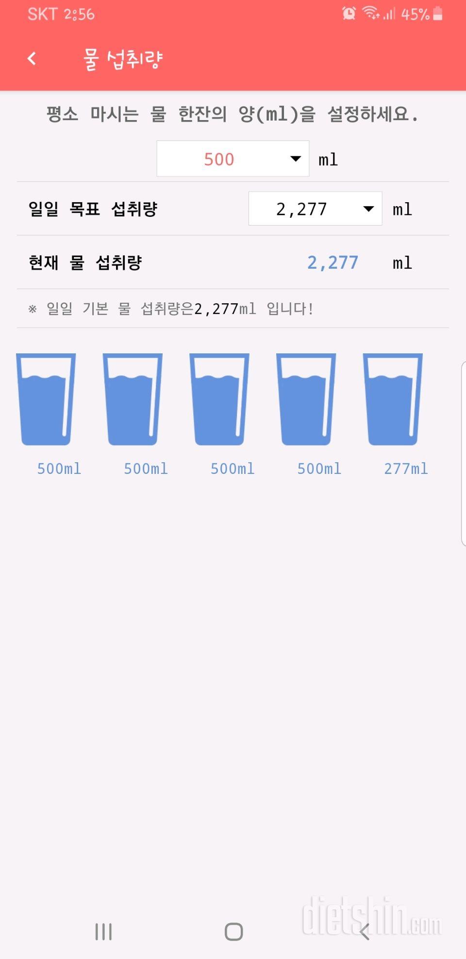 30일 하루 2L 물마시기 57일차 성공!