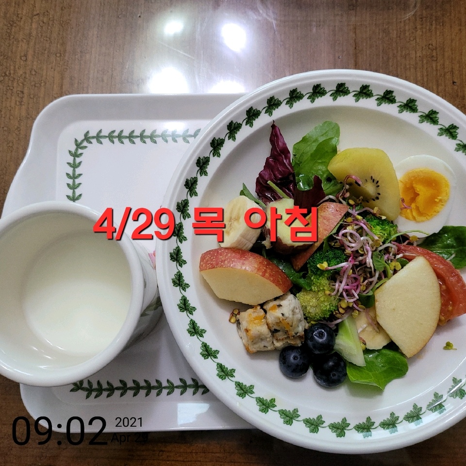 04월 29일( 아침식사 231kcal)