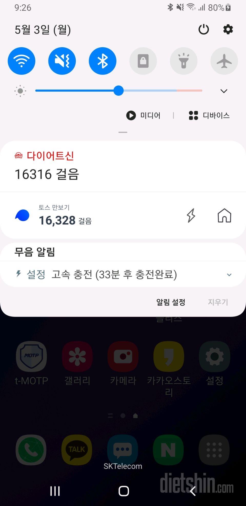 30일 만보 걷기 10일차 성공!