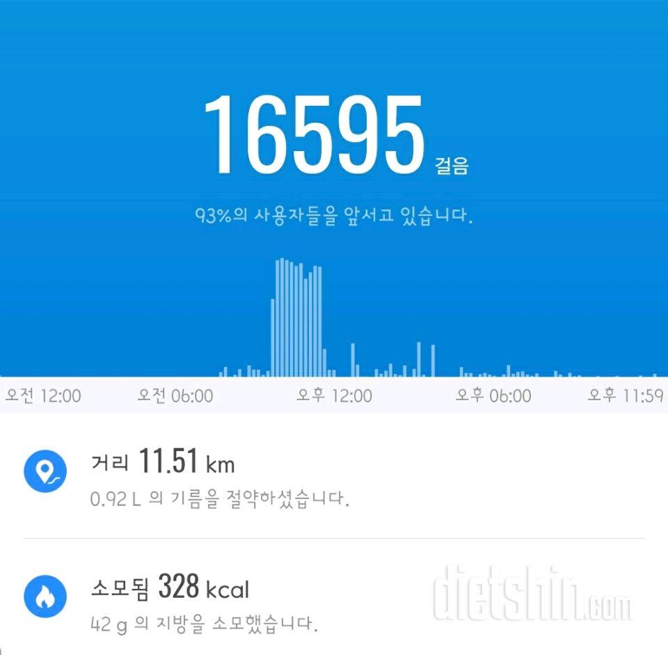 30일 만보 걷기 45일차 성공!