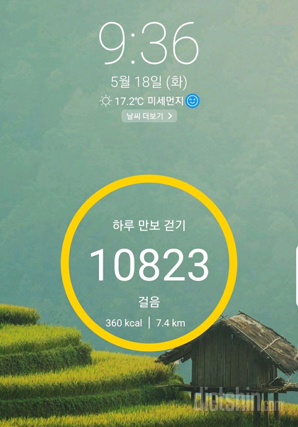 30일 만보 걷기 16일차 성공!