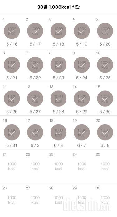 30일 1,000kcal 식단 20일차 성공!