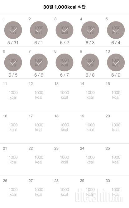 30일 1,000kcal 식단 10일차 성공!