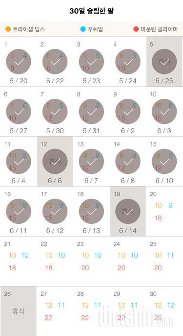 30일 슬림한 팔 19일차 성공!