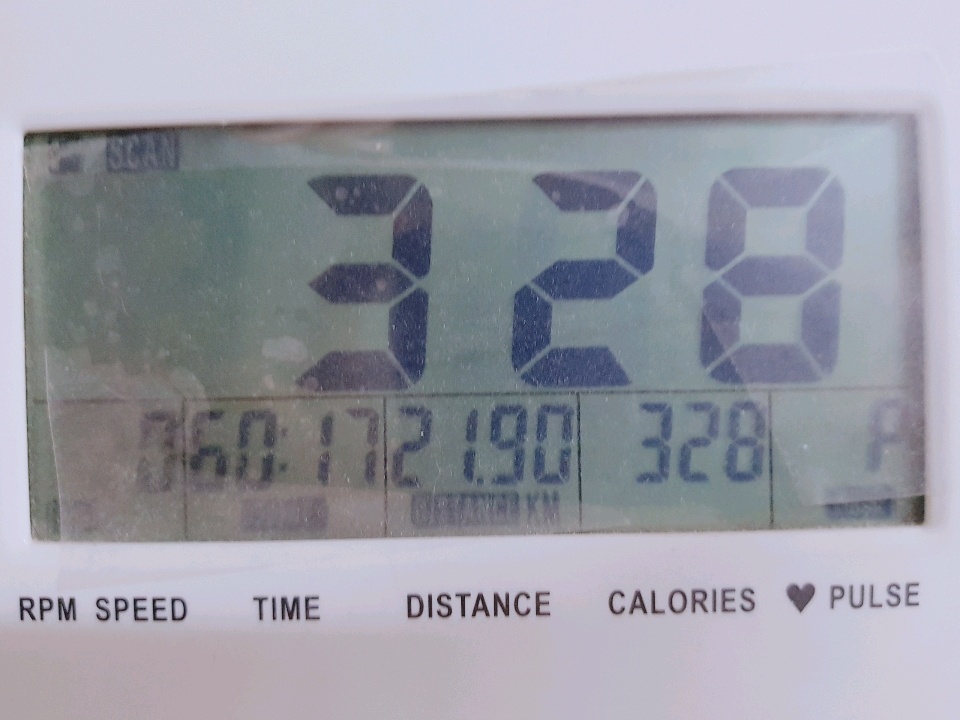 06월 28일( 운동 328kcal)