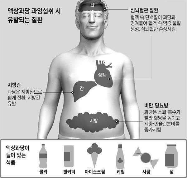 액상과당 자극사진