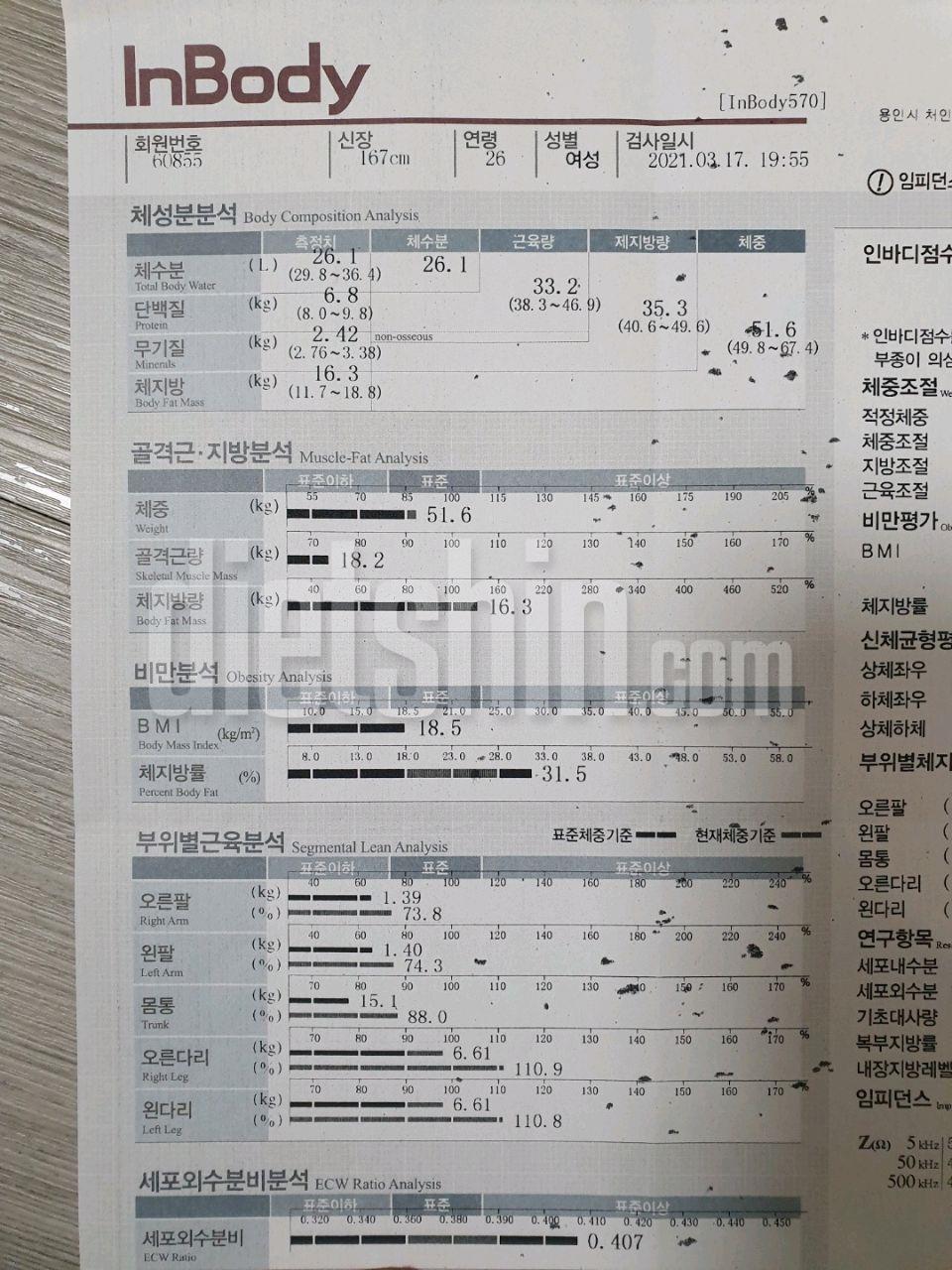 체지방 31.5에서 23.2까지 마른비만 탈출